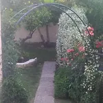 Summer Popi