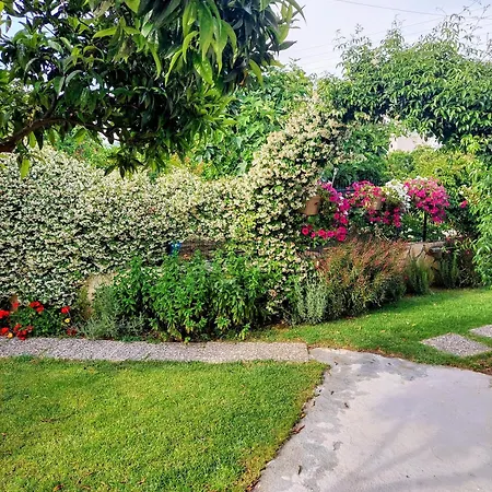 بيت للعطل Summer Popi *