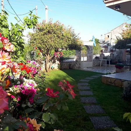 Summer Popi *