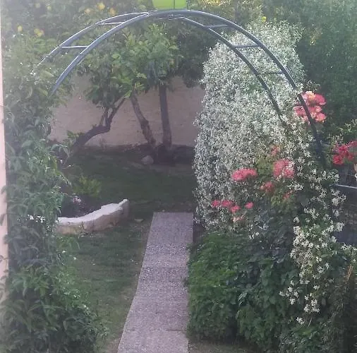 Summer Popi