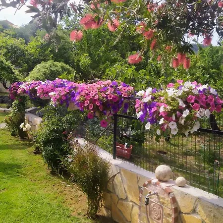 Summer Popi Kanakádes